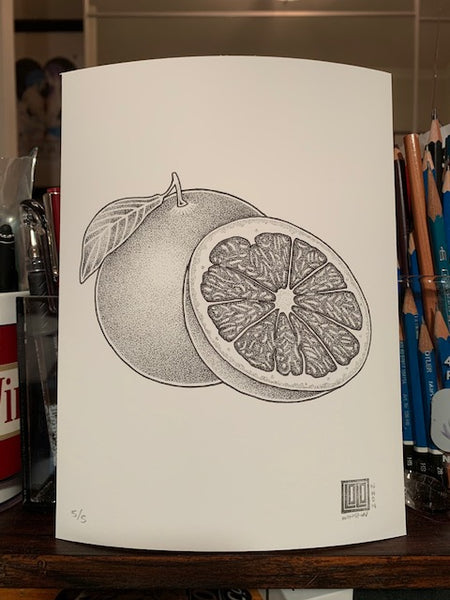 Grapefruit Print by Laurel