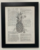 Pineapple by Laurel Winston - Framed Original