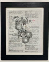 Pear by Laurel Winston - Framed Original