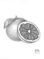 Grapefruit by Laurel - Original Artwork