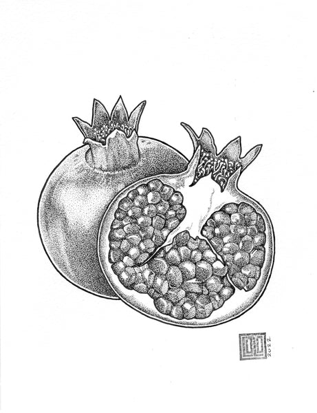 Pomegranate by Laurel - Original Artwork