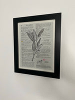 Sage by Laurel Winston - Framed Original